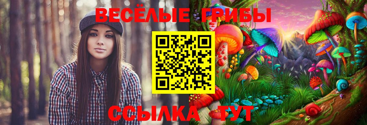 Псилоцибиновые грибы мухоморы Владимир