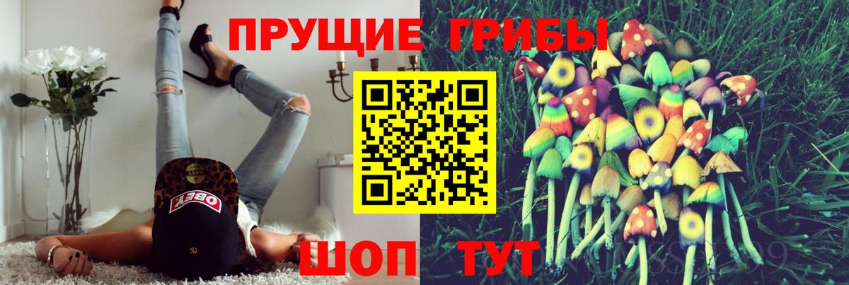 Владимир  Галлюциногенные грибы Psilocybine cubensis  Вход с VPN 